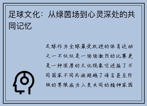 足球文化：从绿茵场到心灵深处的共同记忆