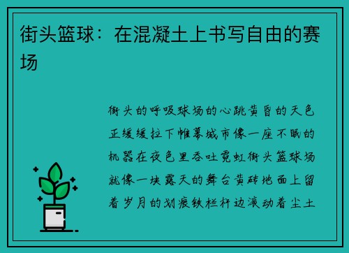 街头篮球：在混凝土上书写自由的赛场