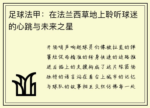 足球法甲：在法兰西草地上聆听球迷的心跳与未来之星